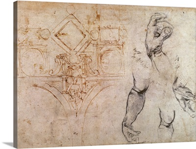 Scheme for the Sistine Chapel Ceiling, c.1508