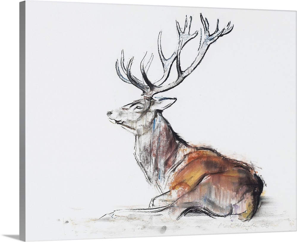 Big sketch on canvas of a deer on a blank background.