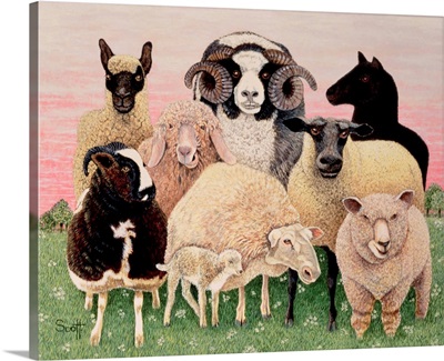 Shepherds Delight