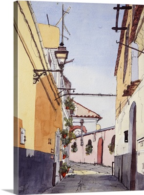 Sidestreet, Positano, Italy, 2024