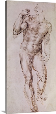 Sketch of David with his Sling, 1503-4
