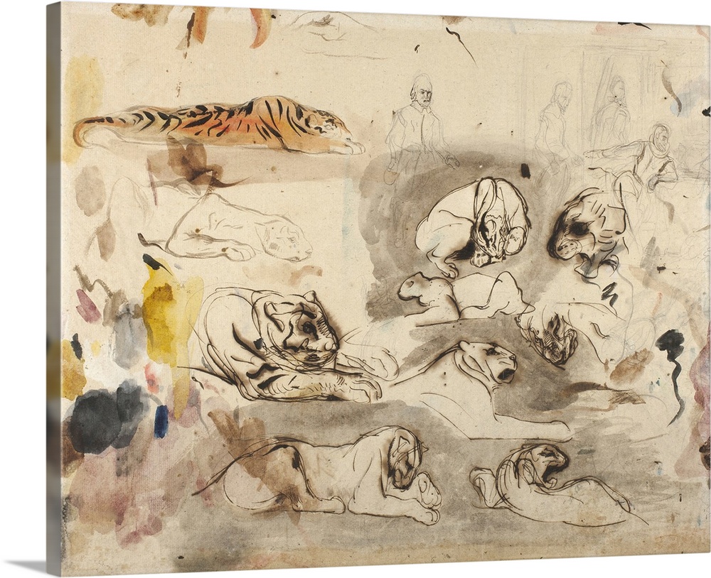Sketches of tigers and men in 16th century costume, 1828-29, watercolor, pen and ink and graphite on paper.