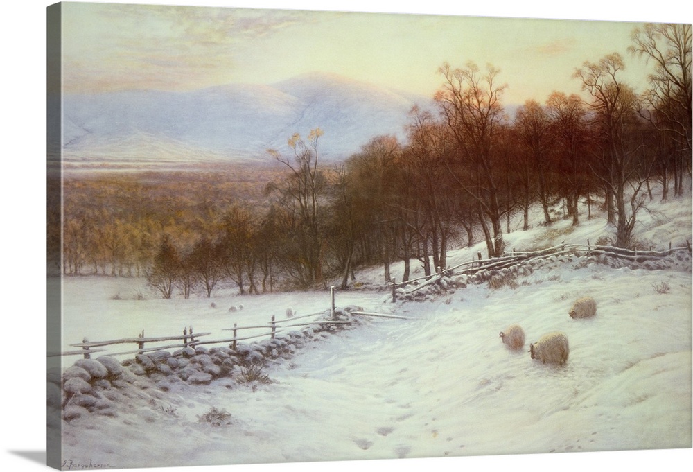 Snow Covered Fields with Sheep