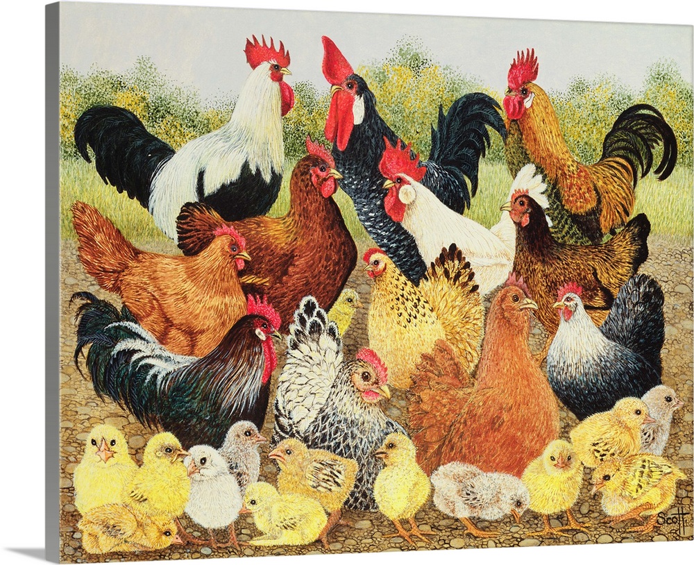 Contemporary painting of several roosters, hens, and chicks.
