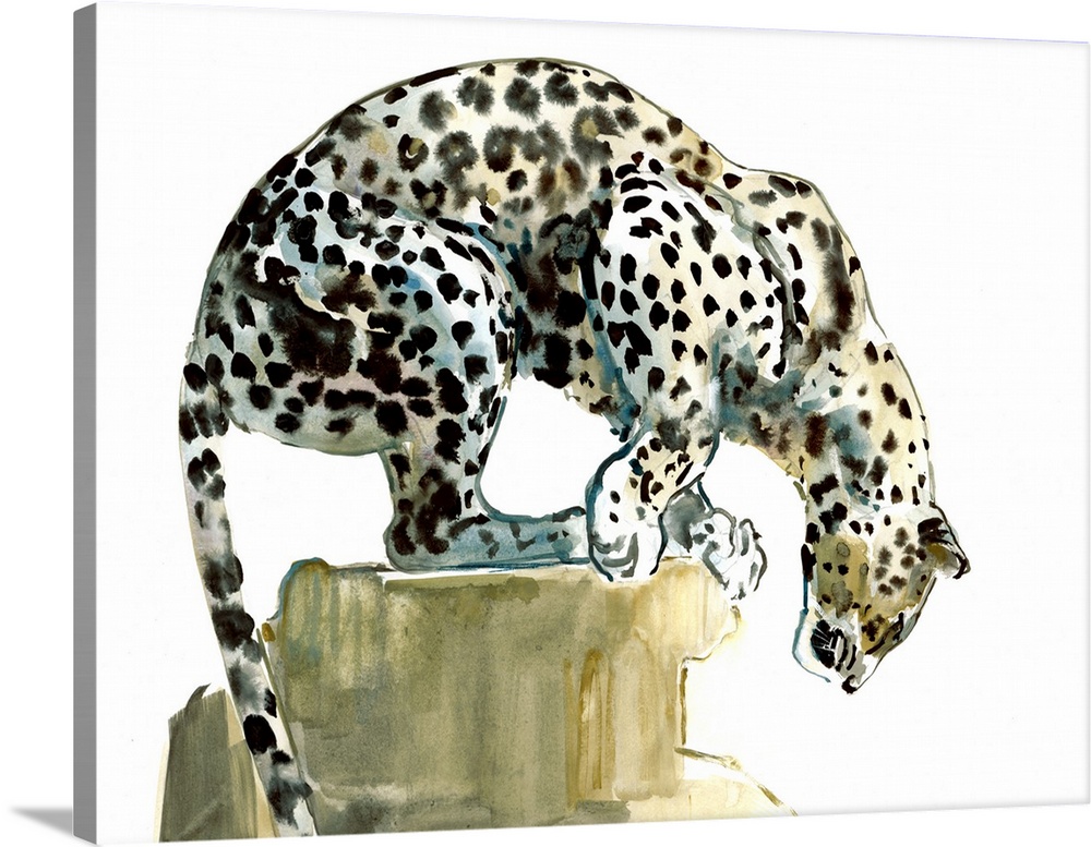 Spine, Arabian Leopard, 2015, watercolour and gouache on paper.  By Mark Adlington.