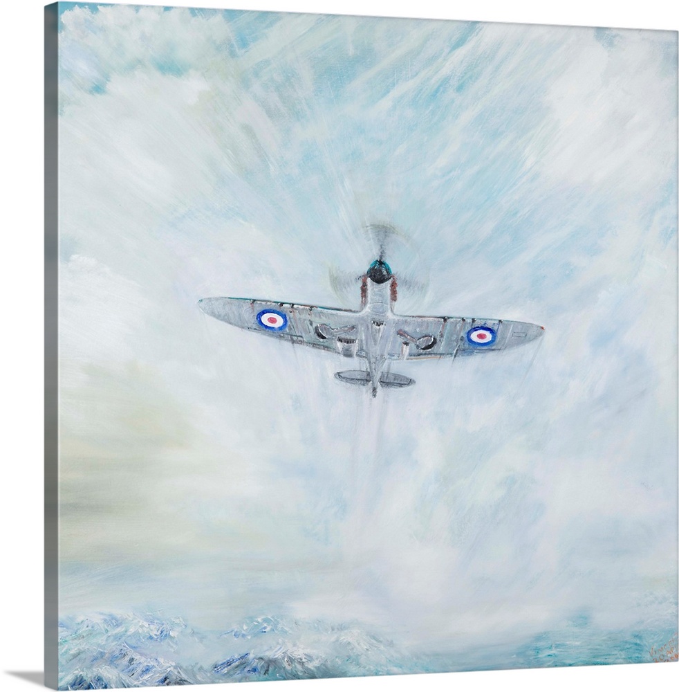 Spitfire 'Ace of Spades', 2016, oil on canvas.