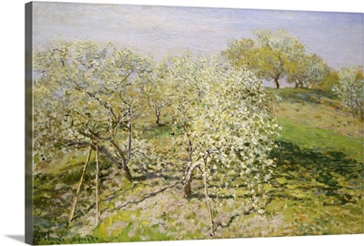 Spring (Fruit Trees In Bloom)
