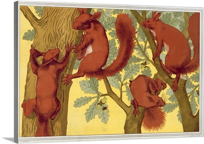 Squirrels, From 'L'Animal Dans La Decoration' By Maurice Pillard Verneuil, Pub 1897
