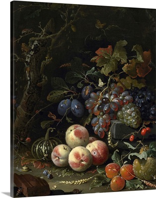 Still Life with Fruit, Foliage and Insects, c.1669