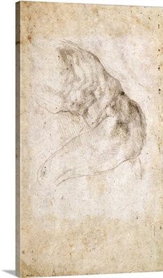 Study for The Creation of Adam