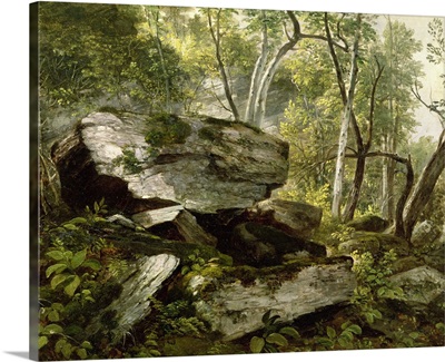 Study from Nature: Rocks and Trees, c.1856