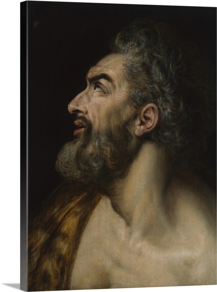 Study head of a bearded man, c.1565, oil on panel.