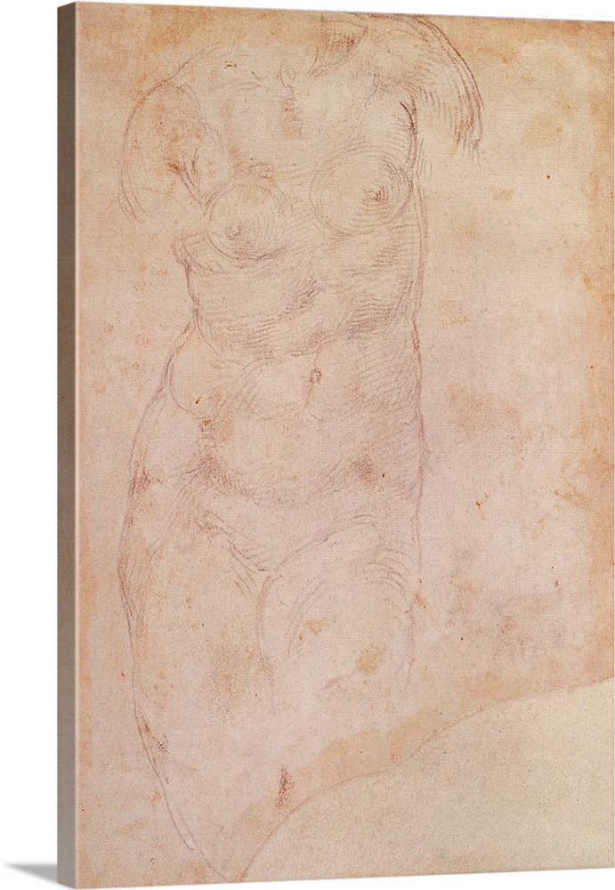 Study of a Female Nude (black chalk on paper) by Buonarroti, Michelangelo (1475-1564); British Museum, London, UK; Italian
