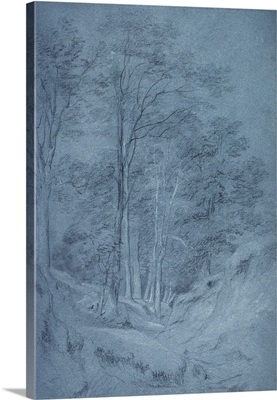 Study of ash and other trees