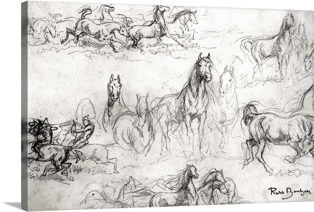 XIR154679 Study of Horses (pencil on paper) (b/w photo) by Bonheur, Rosa (1822-99); Louvre, Paris, France; Giraudon; French
