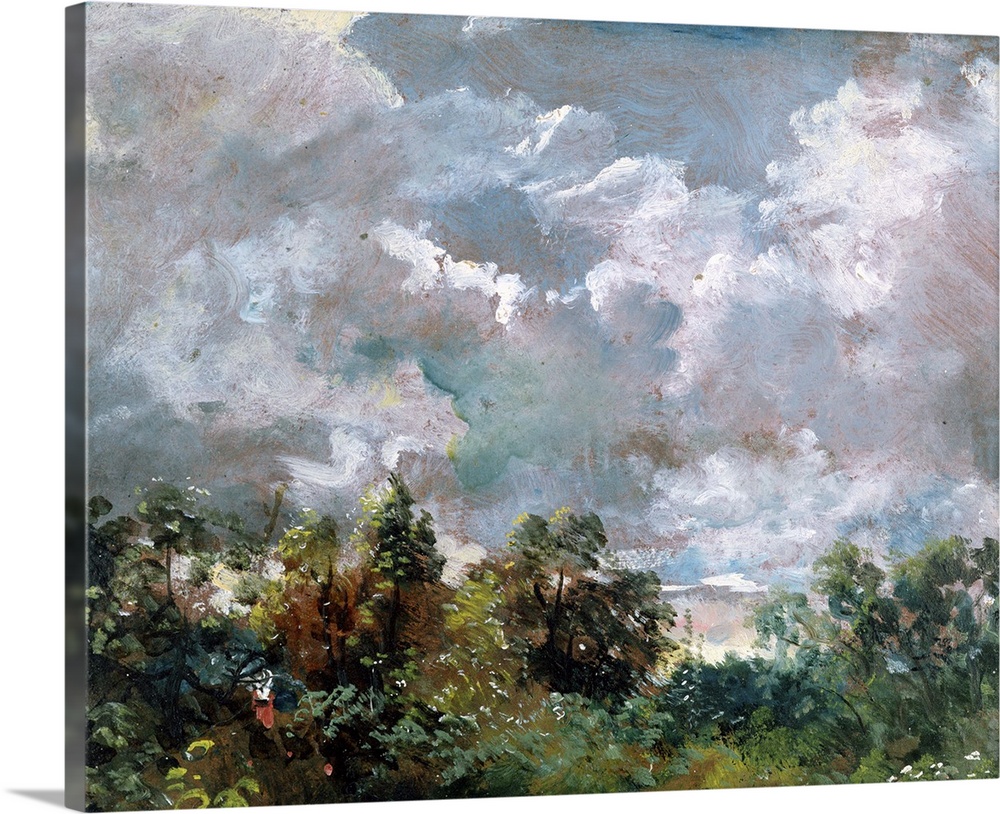Credit: Study of Sky and Trees (oil on canvas) by John Constable (1776-1837)Victoria
