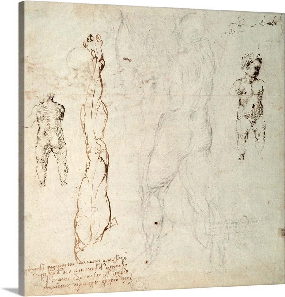 Study of the Christ Child and an Anatomical Drawing with Notes