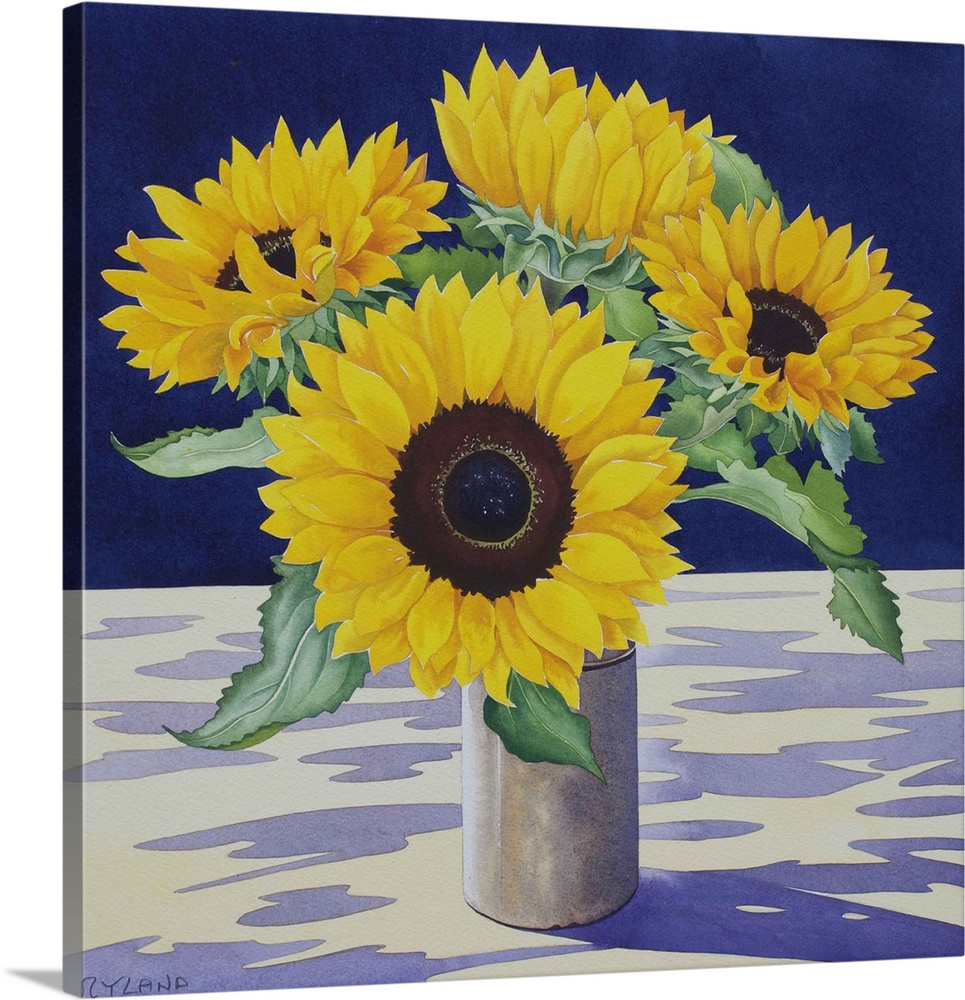 Sunflower Still Life by Ryland, Christopher