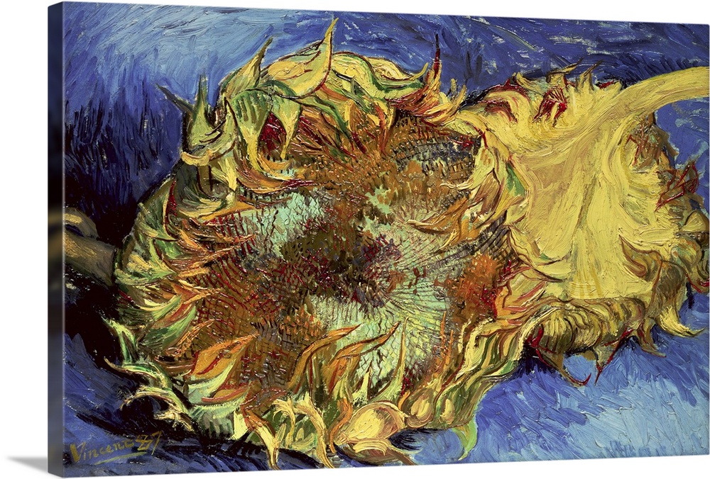 This is an impressionistic painting created with thick and fluid brush strokes of two wilted sunflower heads contrasting w...