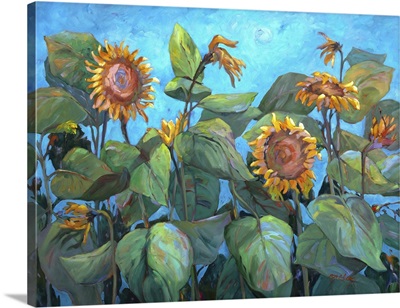 Sunflowers II, c.1990-2005