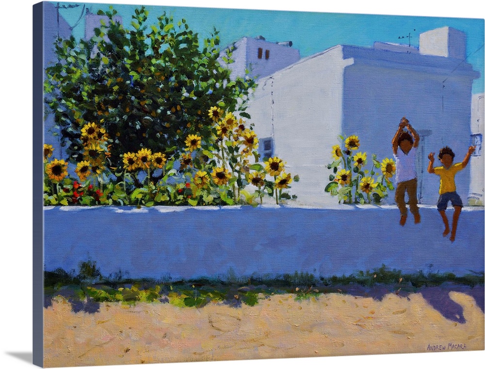 Sunflowers, Morning, Galicia, (originally oil on canvas) by Macara, Andrew