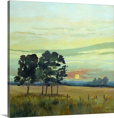 Sunrise, 2007