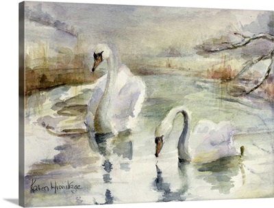 Swans in Winter
