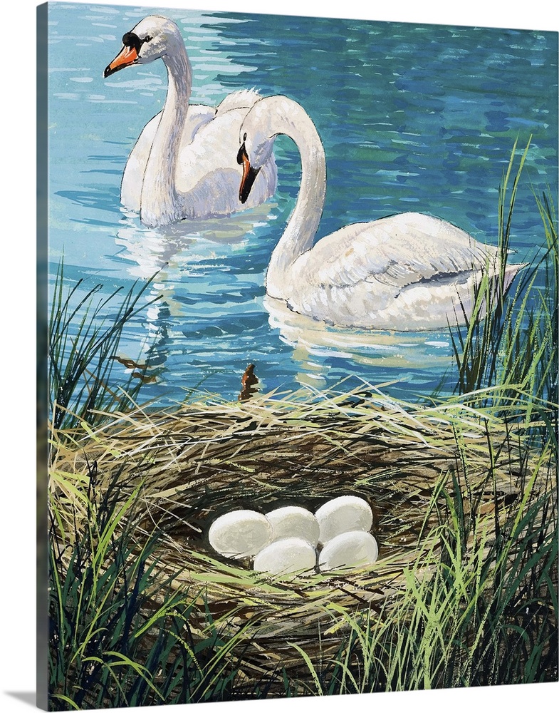 Swan's Nest. Original artwork for "Once Upon a Time," issue 23.