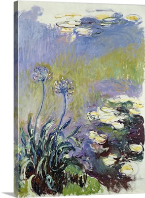 The Agapanthus, 1914-17