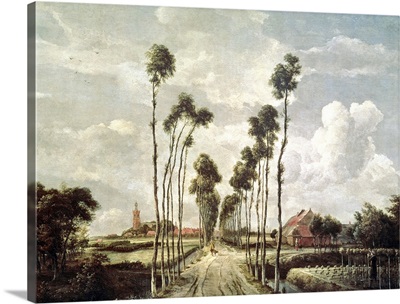 The Avenue at Middelharnis, 1689