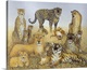 image thumbnail of The Big Cats