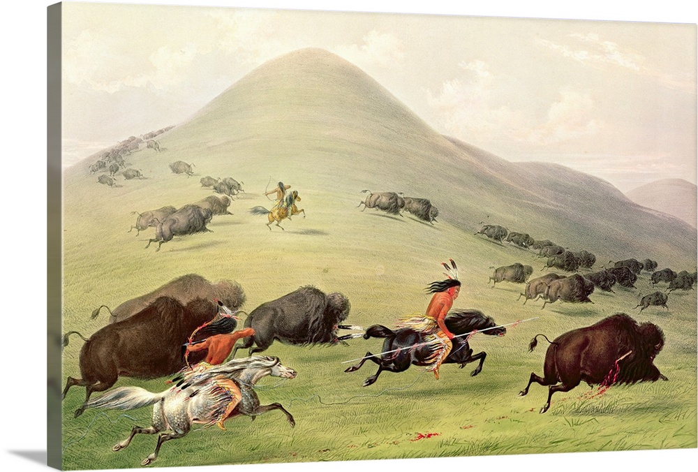 XIR228233 The Buffalo Hunt, c.1832 (coloured engraving) by Catlin, George (1796-1872); Bibliotheque Nationale, Paris, Fran...