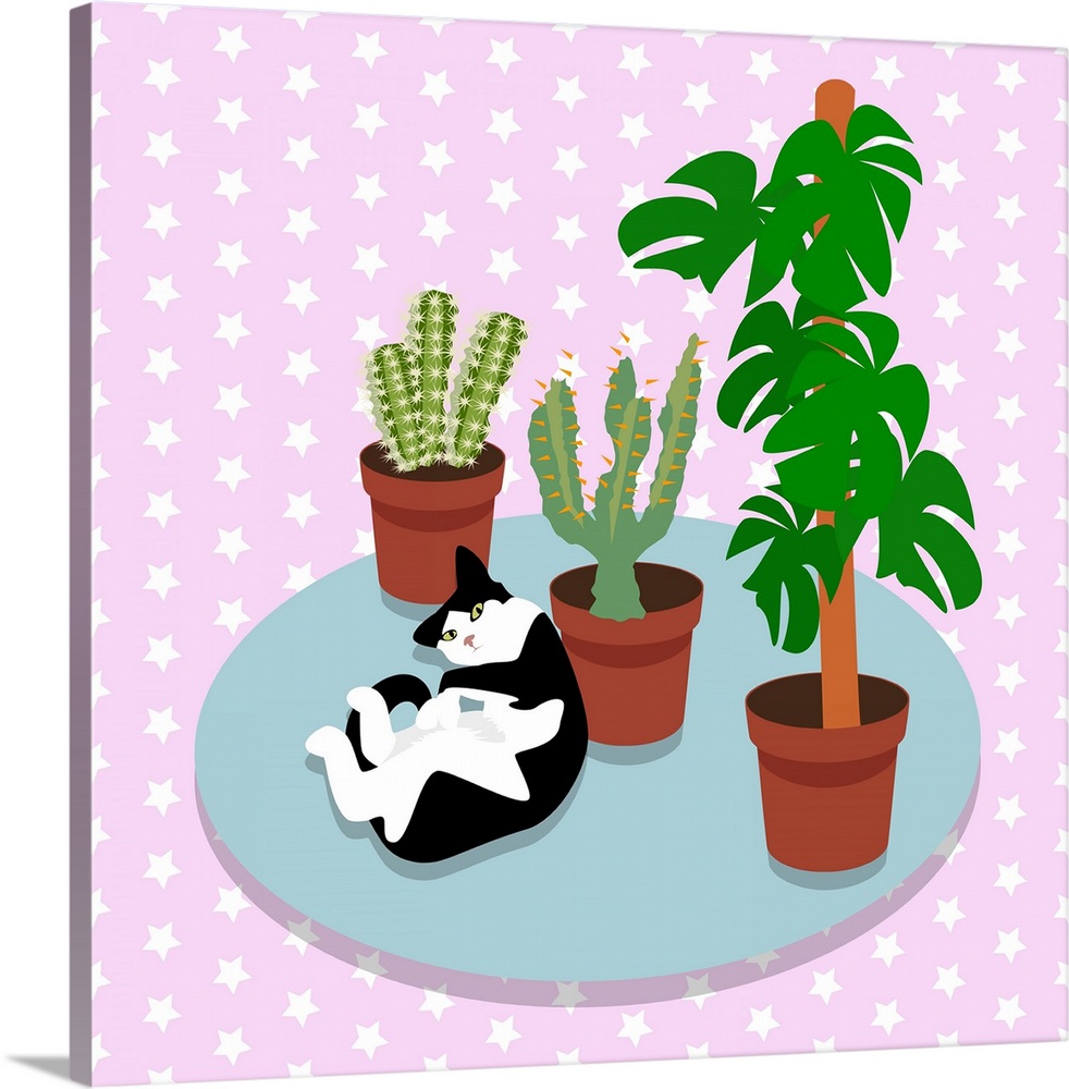 The Cat And The Cacti