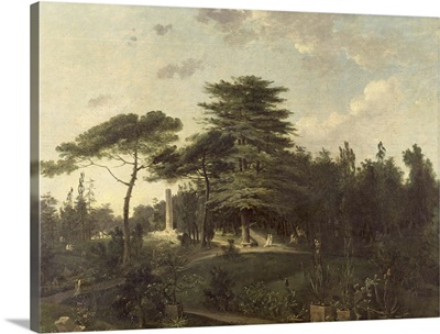 The Cedar of Lebanon in the Jardin des Plantes