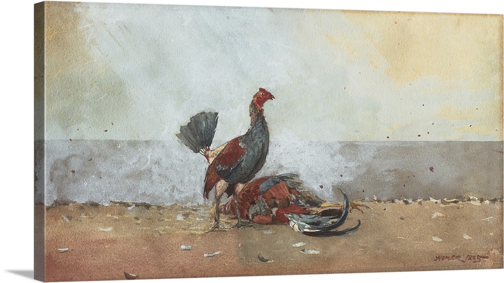The Cock Fight, 1885, transparent and opaque watercolor, with traces of scraping, over graphite, on thick, moderately text...