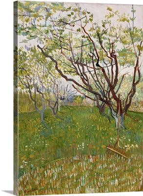 The Flowering Orchard, 1888