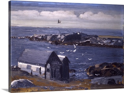 The Gulls, Monhegan, C1913