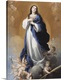 image thumbnail of The Immaculate Conception