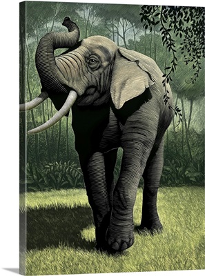 The Jungle Book, 2006