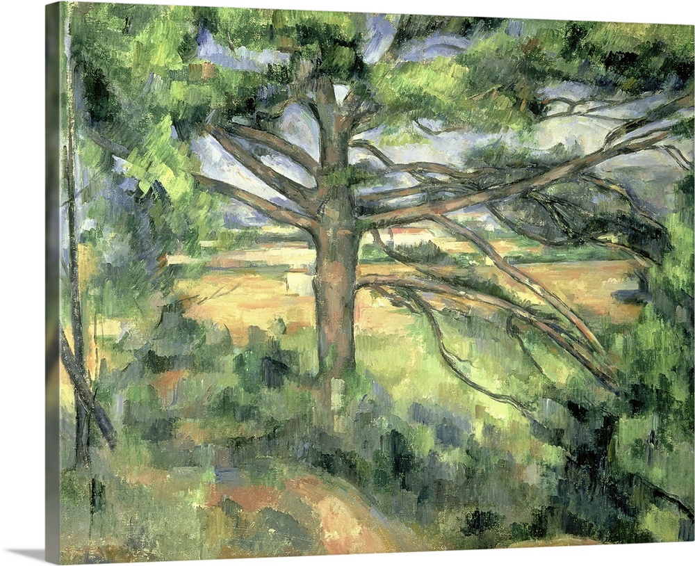 The Large Pine, 1895-97 (oil on canvas)  by Cezanne, Paul (1839-1906); Hermitage, St. Petersburg, Russia; French, out of c...