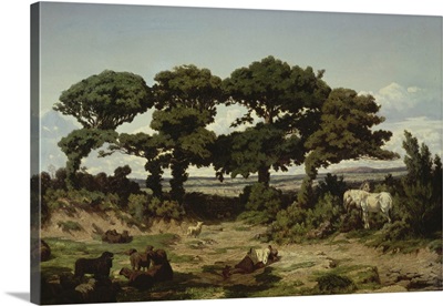 The Oaks Of Kertregonnec, C.1869-70