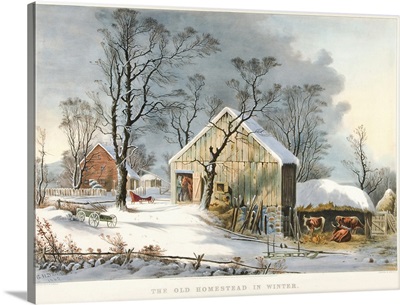 The Old Homestead In Winter