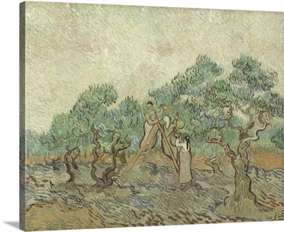 The Olive Orchard, 1889