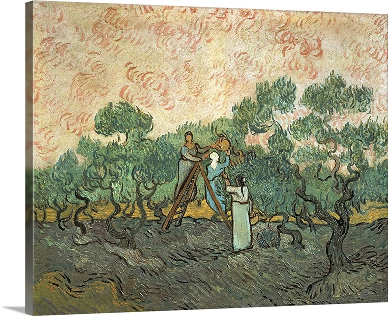 The Olive Pickers, Saint-Remy, 1889 | Great Big Canvas