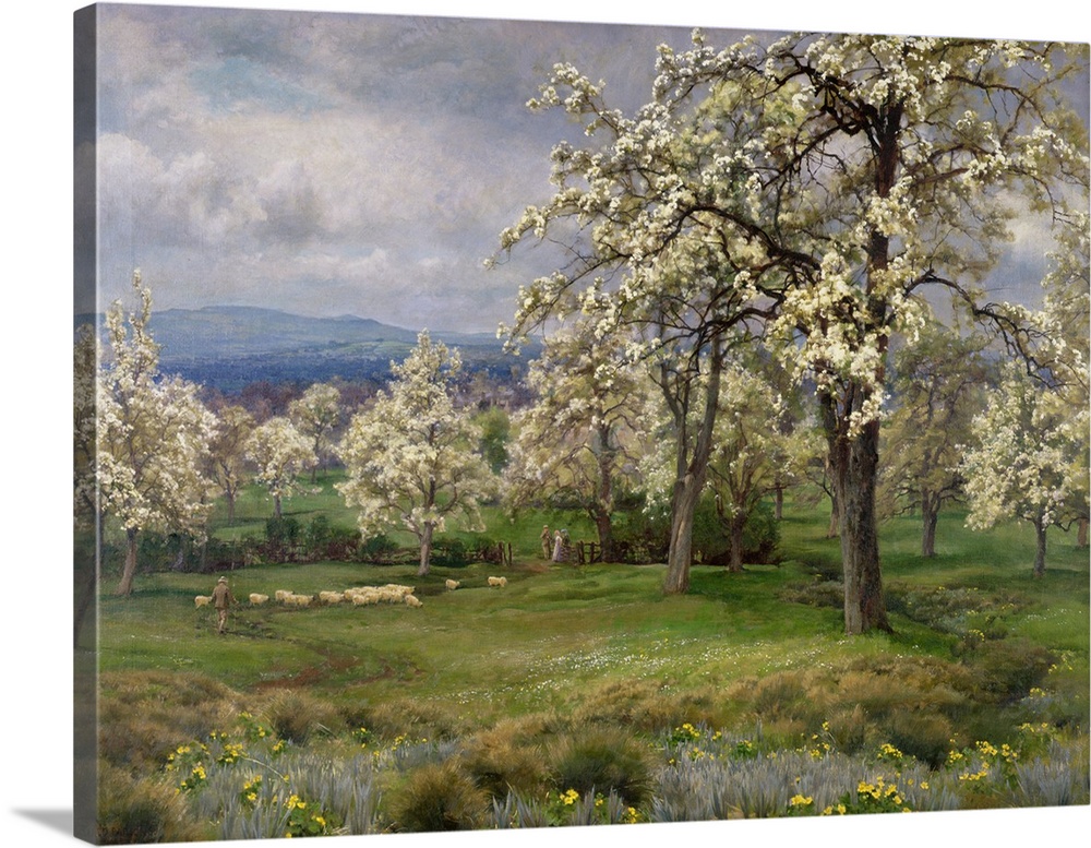 The Pear Orchard, c.1903, oil on canvas.