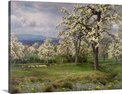 The Pear Orchard, c.1903