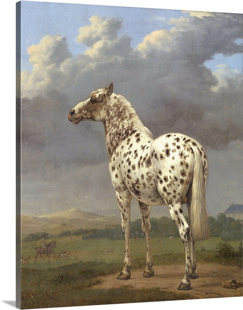 The Piebald Horse, c. 1650-4, oil on canvas.  By Paulus Potter (1625-54).