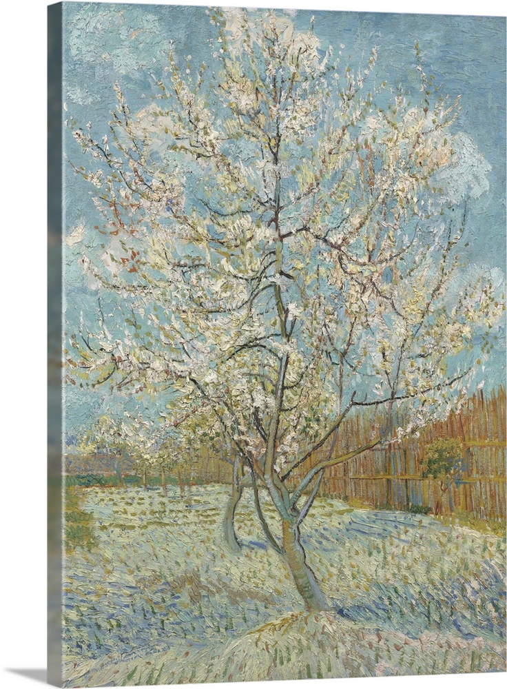 The Pink Peach Tree, 1888, oil on canvas.  By Vincent van Gogh (1853-90).