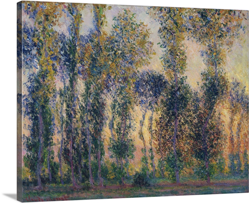 The Poplars In Giverny (France), Sunrise, 1888