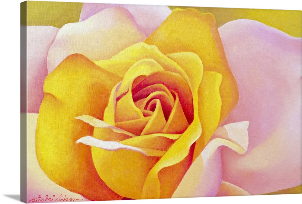 Horizontal, close up floral painting of a vibrant, opening rose in golden tones, its outer petals are light pink.